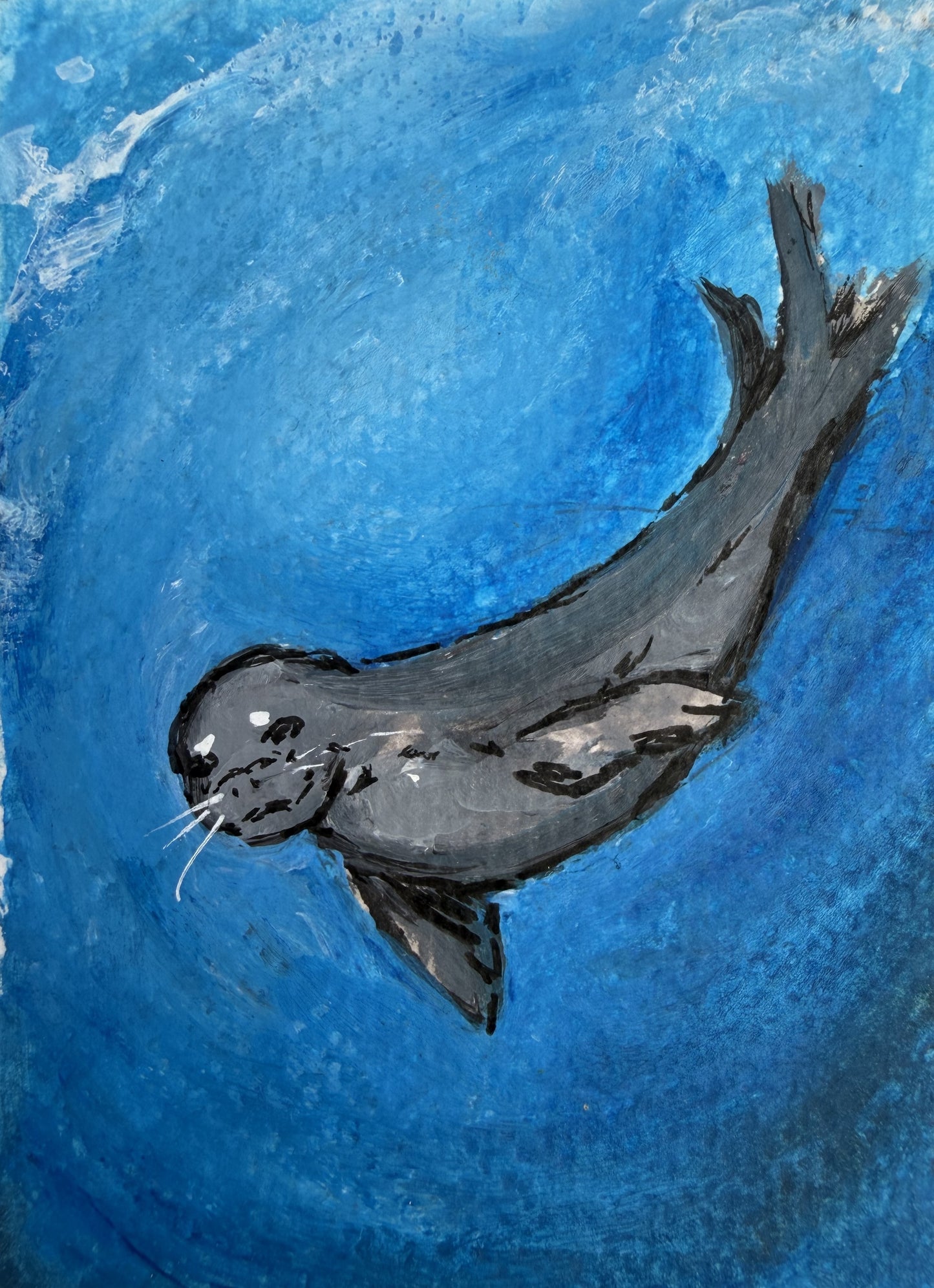 Drift, Gray Seal Ocean Art Print