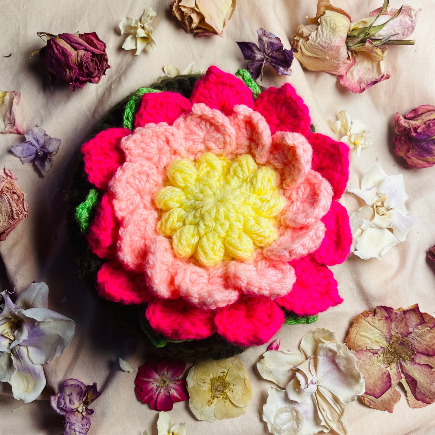Rosa Bundle image 7