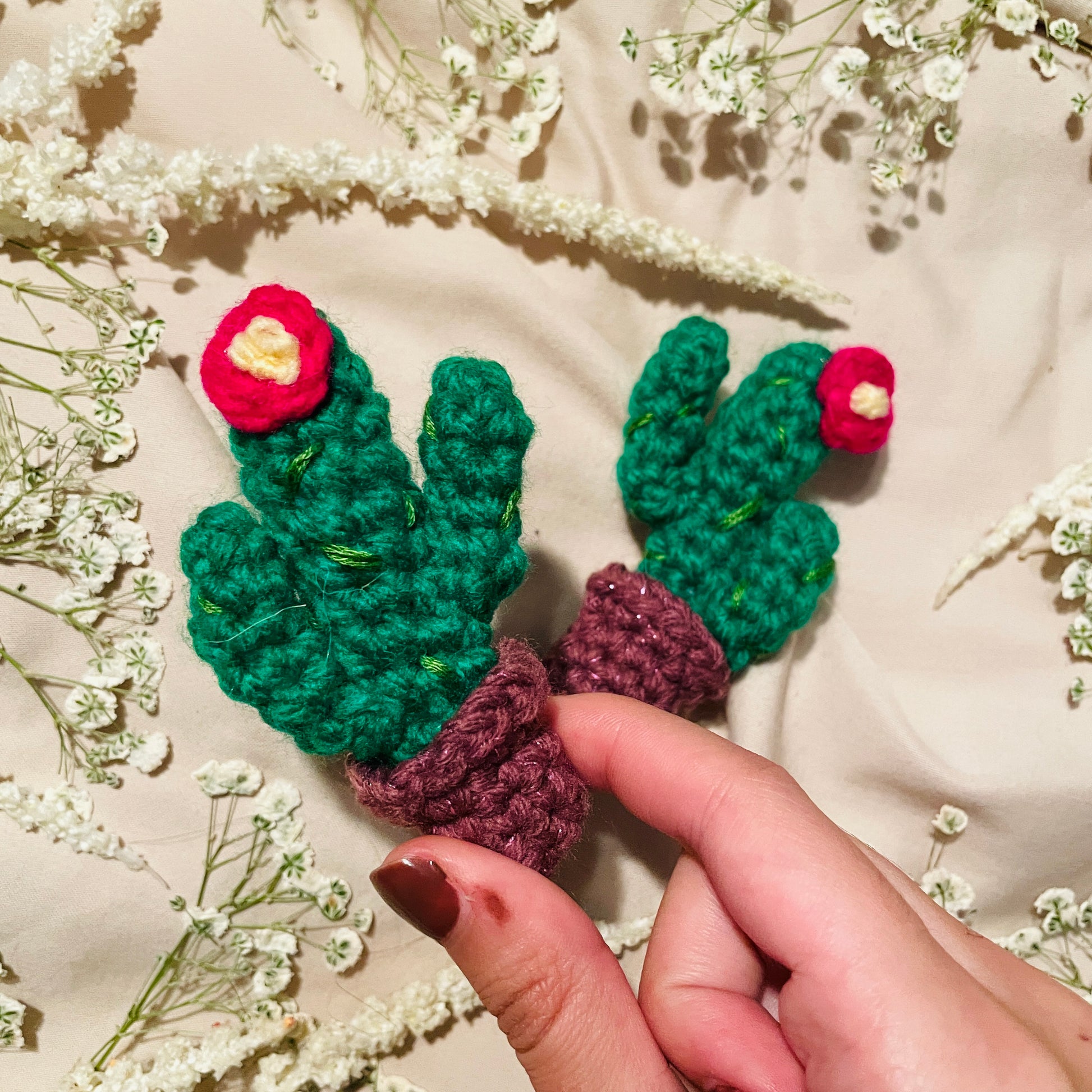 Cacti image 2