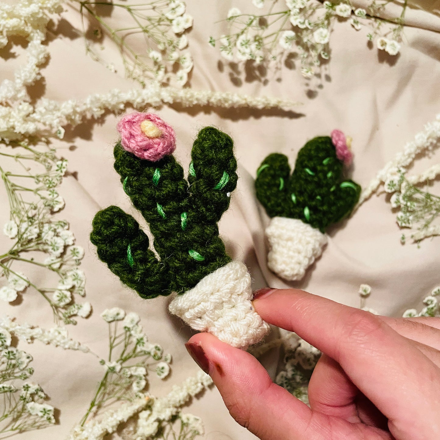 Cacti image 1