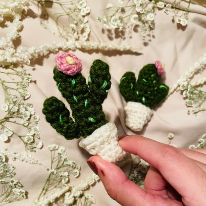 Cacti image 1