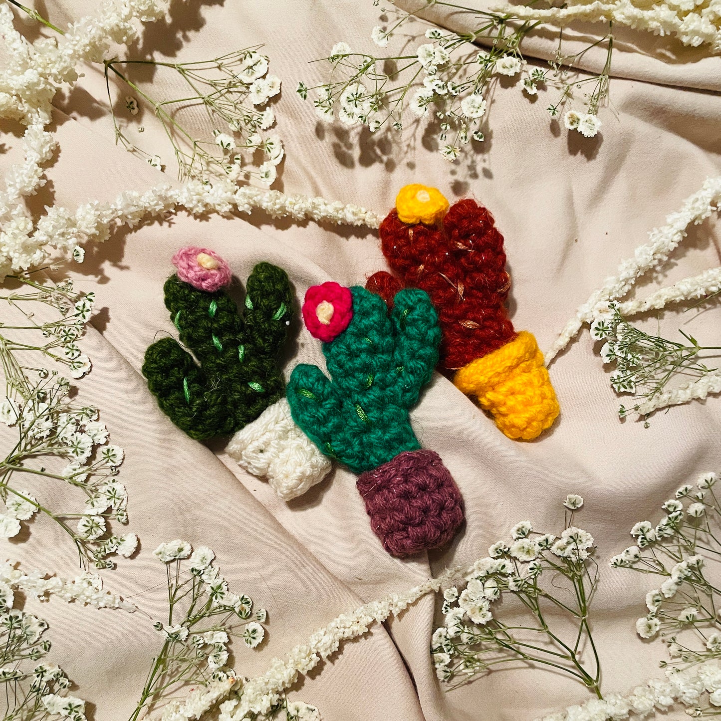 Cacti image 0