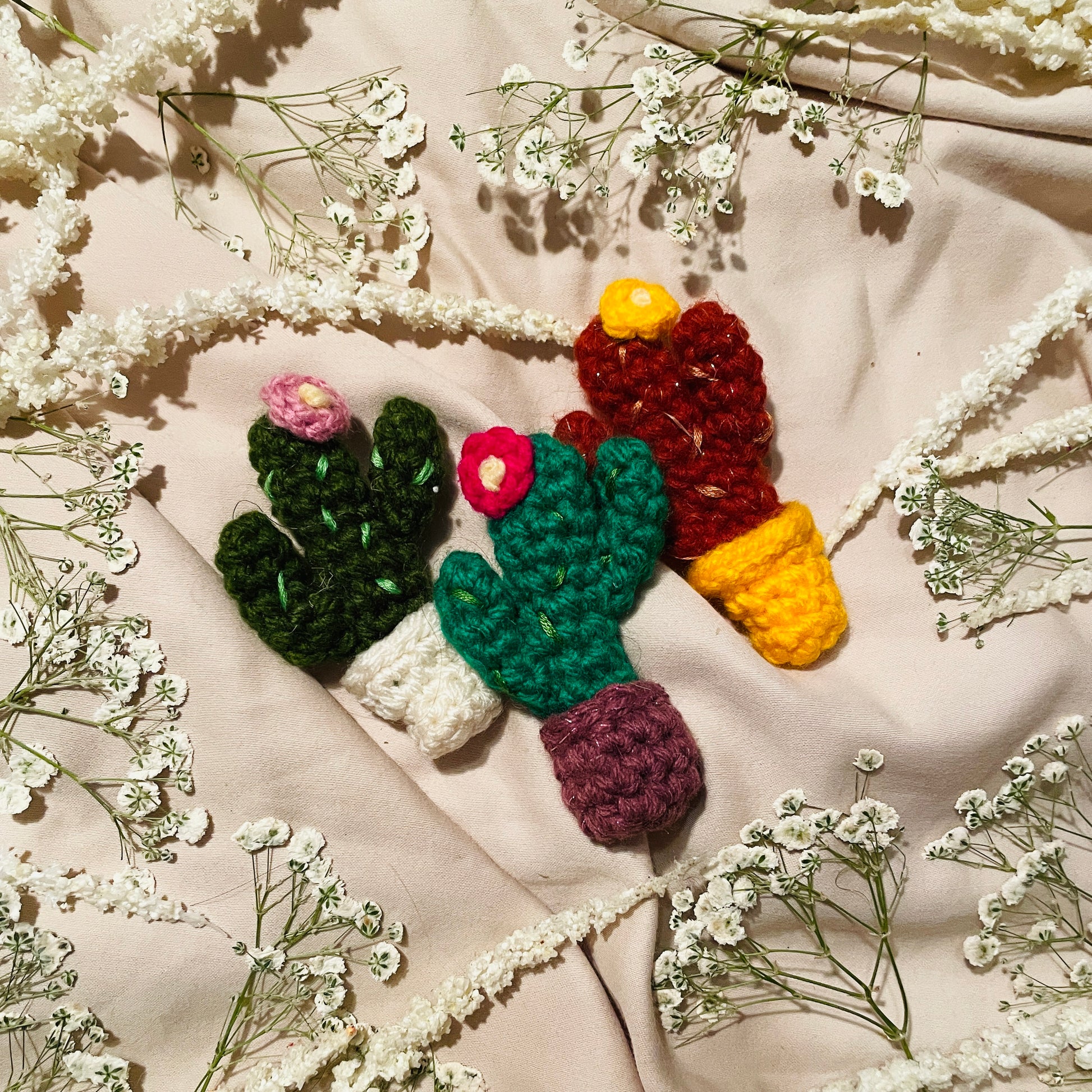 Cacti image 0
